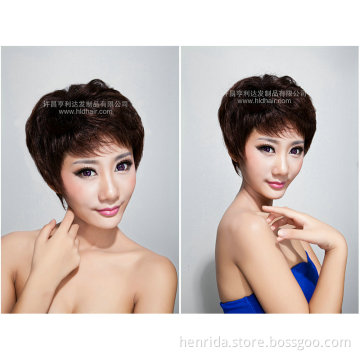 Excellent /Popular Synthetic Hair Wig for Women (NO. 12737)